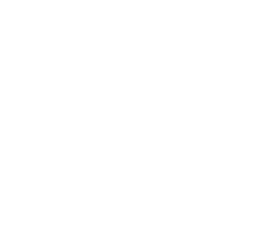 TEUSubastas